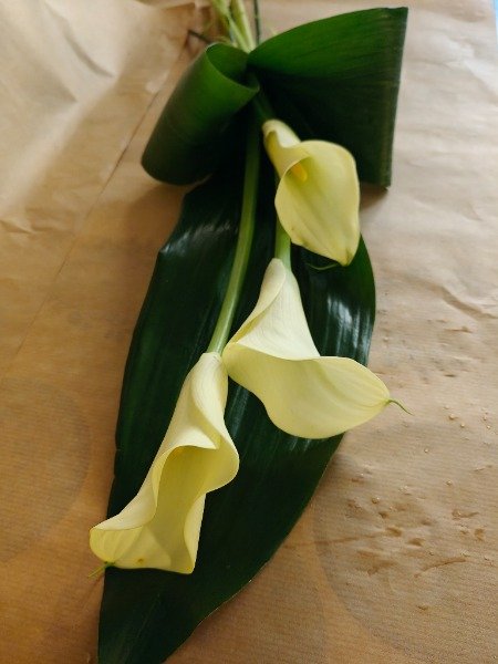 Surukimppu Calla